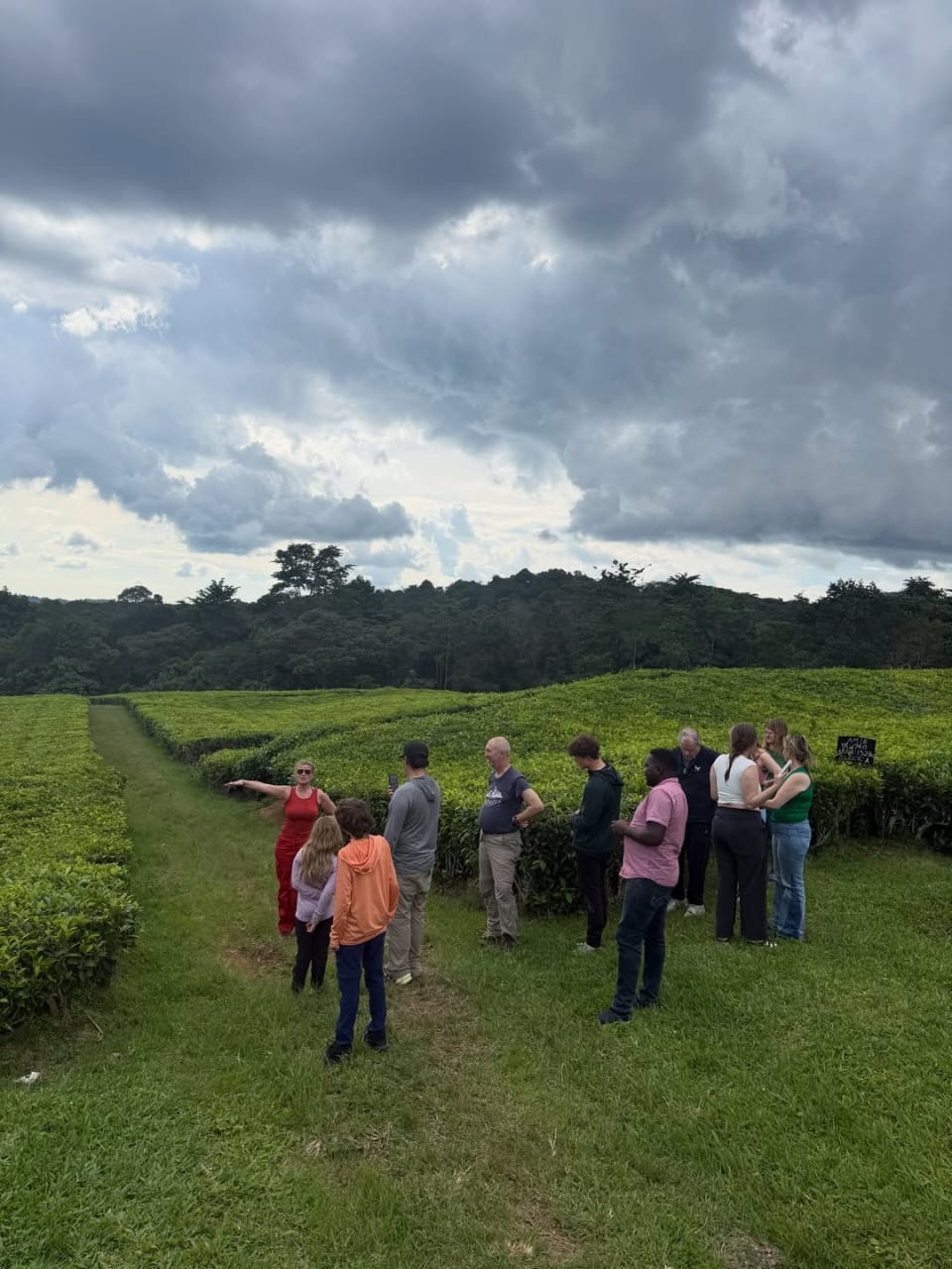 Moseville Expeditions guests in the field