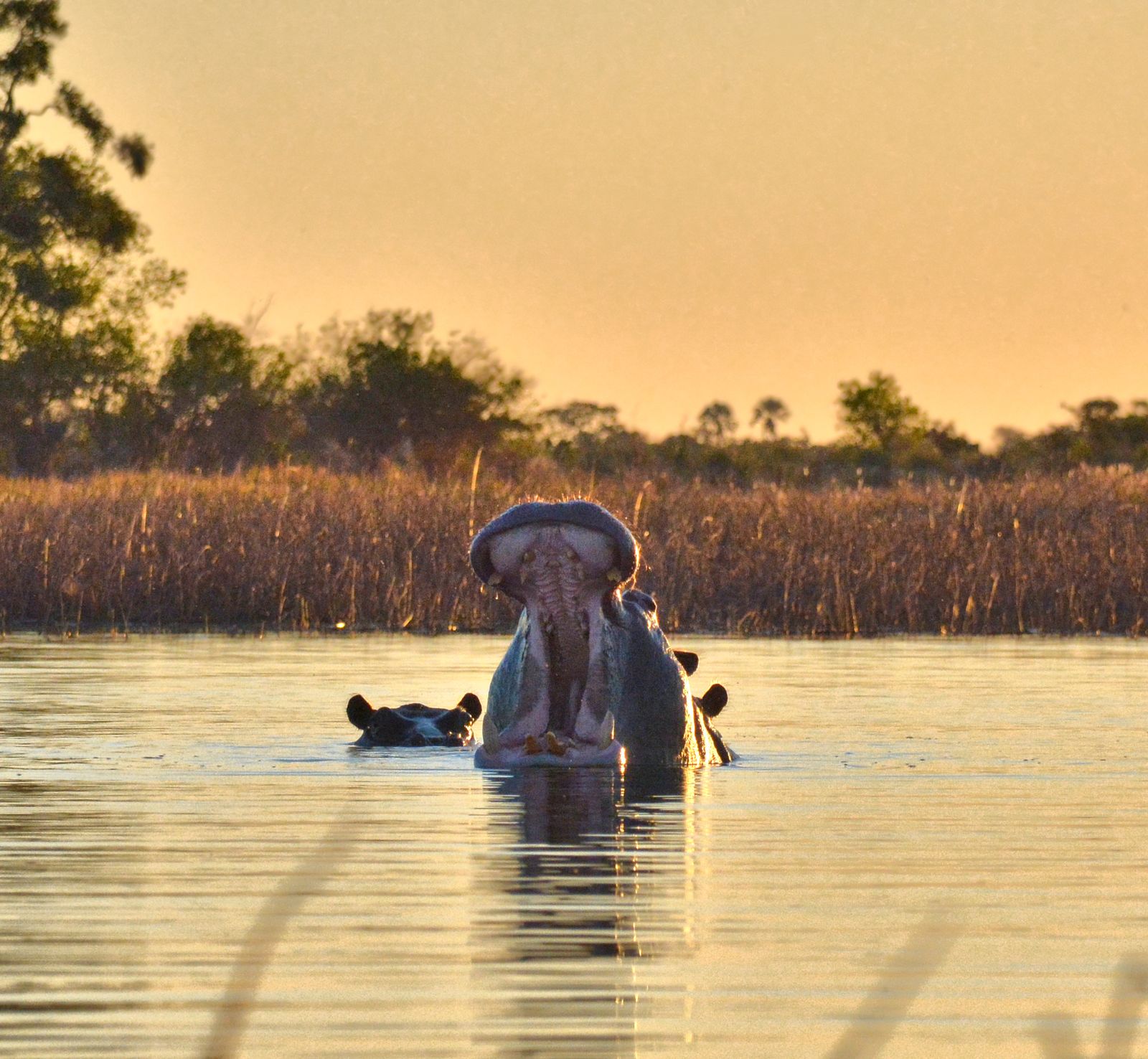 Botswana